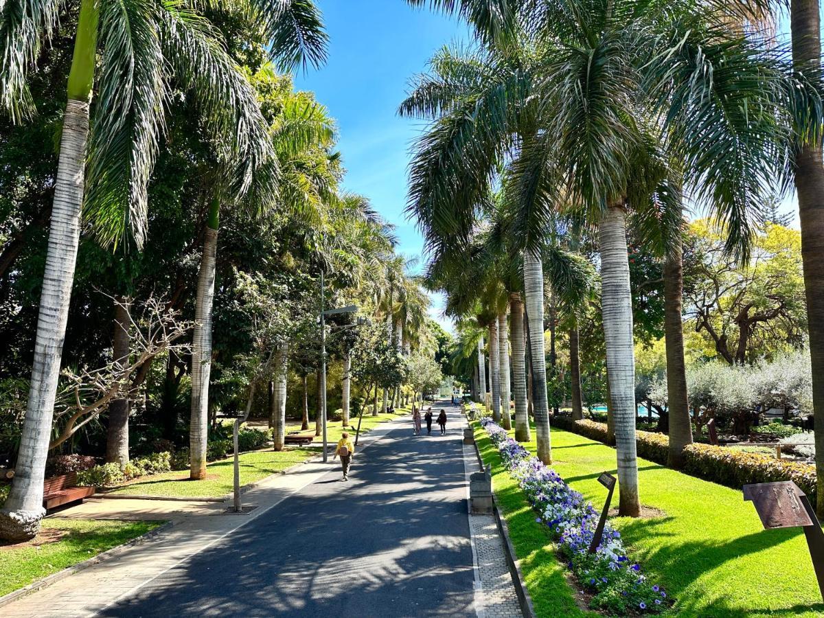サンタクルスデテネリフェCentrico Y Moderno Junto Al Parqueアパートメント エクステリア 写真